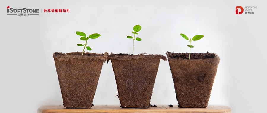 书香永续革命心灵 爱心传递老区儿童——Z6尊龙集团官方网站升级再次助力公益教育