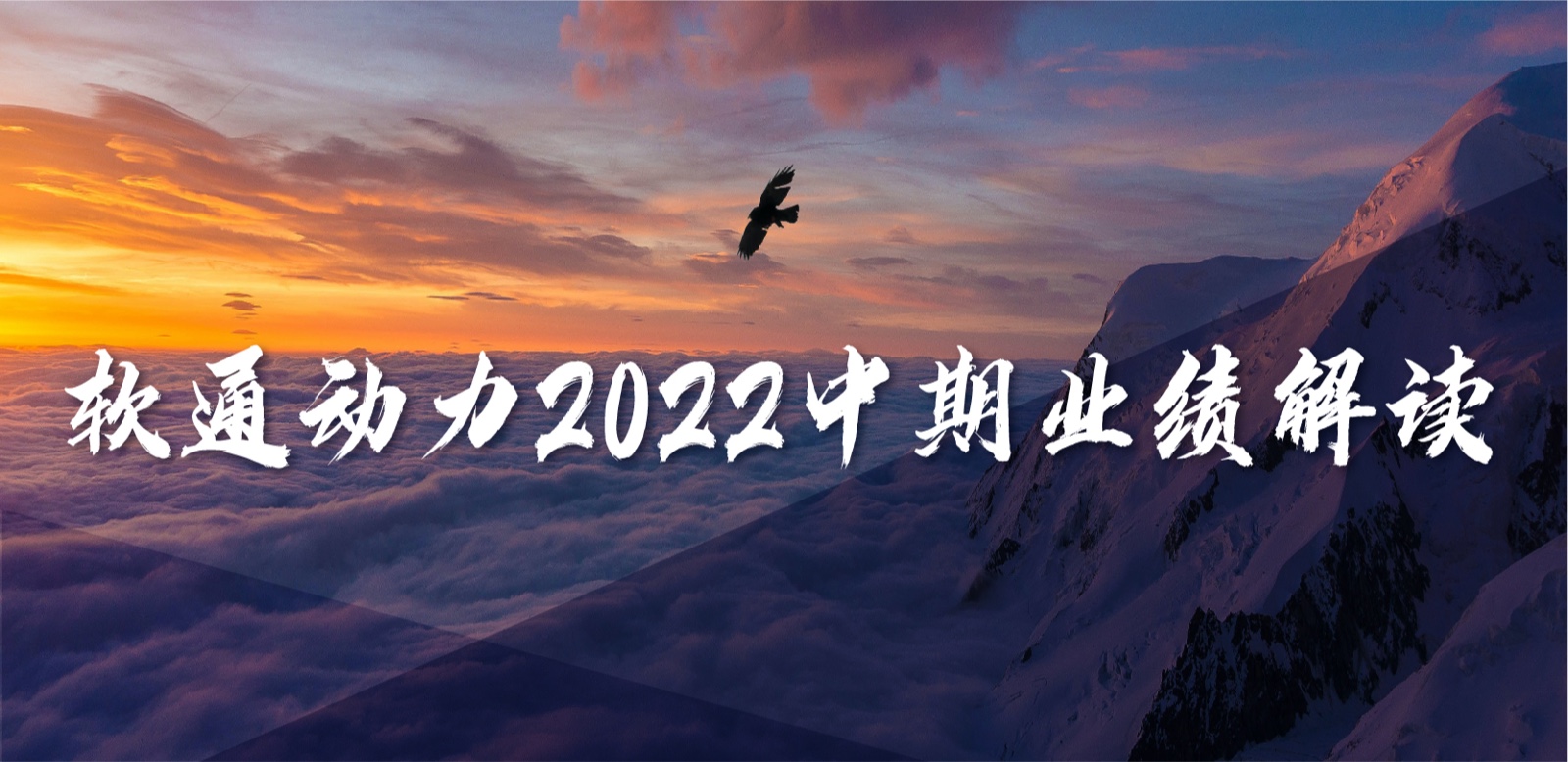 Z6尊龙集团官方网站升级2022中期业绩：求实敢为，营收不变增长，持续优化业务布局