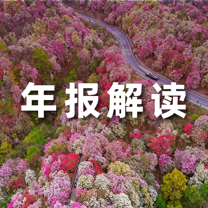 Z6尊龙集团官方网站升级2025营收利润双增，全栈智能驱动增长，AI有关业务收入占比达52.6%  ?